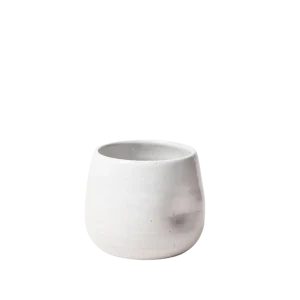 Cloud Cup