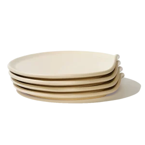 Dinner Plate Set of 4